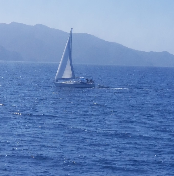 Meet your Posher, Albert - Picture 1 of 1